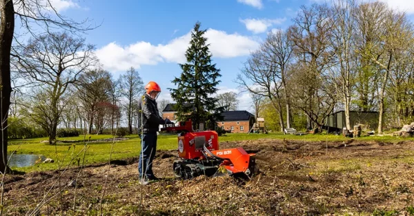 FSI B31 Stump Grinder