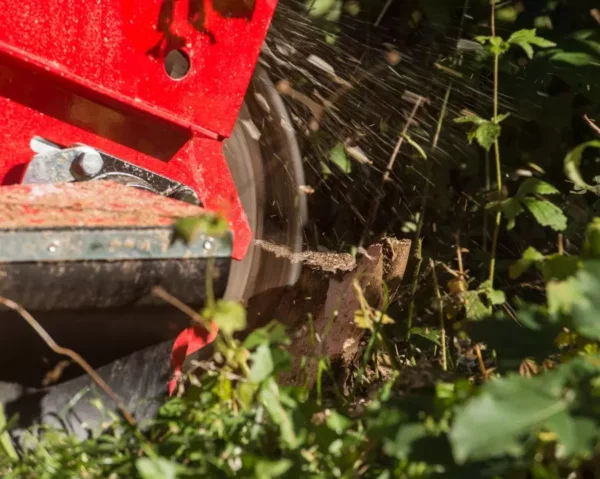 FSI B28 Stump Grinder