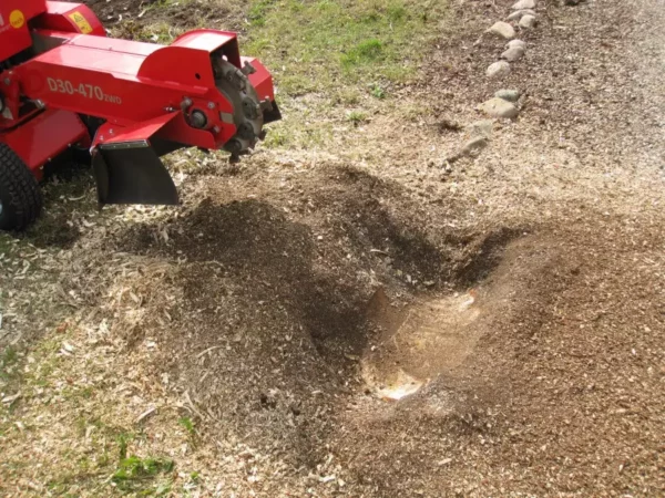 FSI D30 Stump Grinder