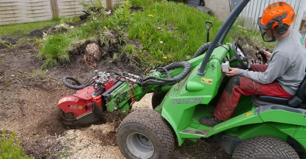 FSI H20S Stump Grinder