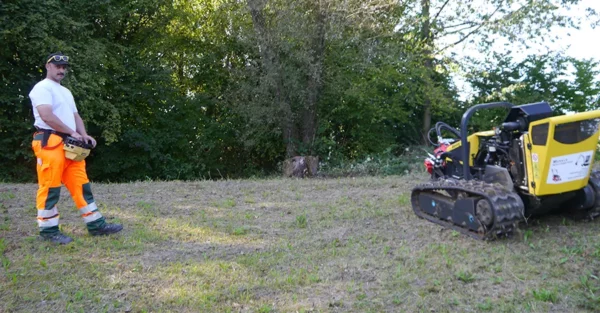 FSI H20S Stump Grinder