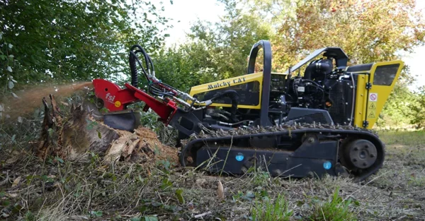 FSI H20S Stump Grinder